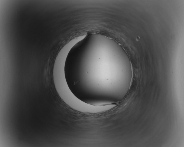 X0000087570818200705181141