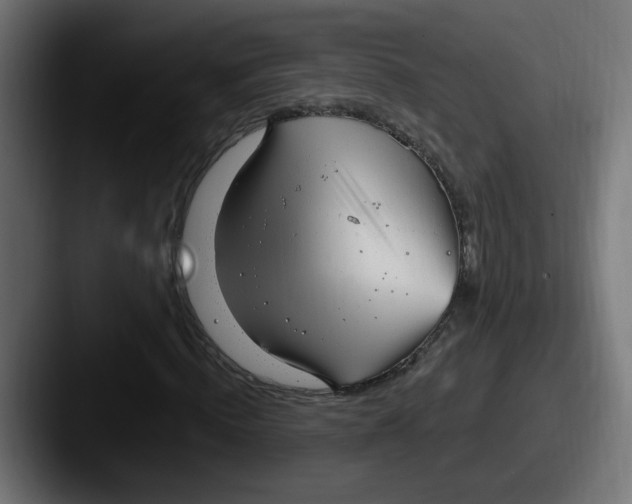 X0000087570820200705181141