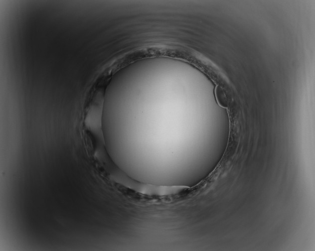 X0000087570822200705181141