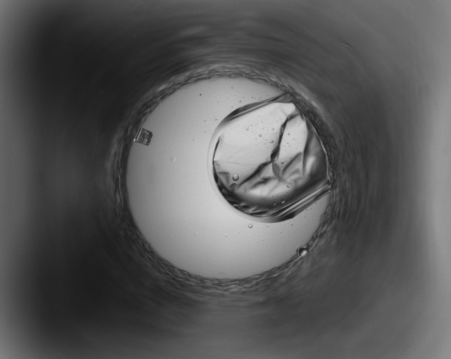 X0000087570824200705181141