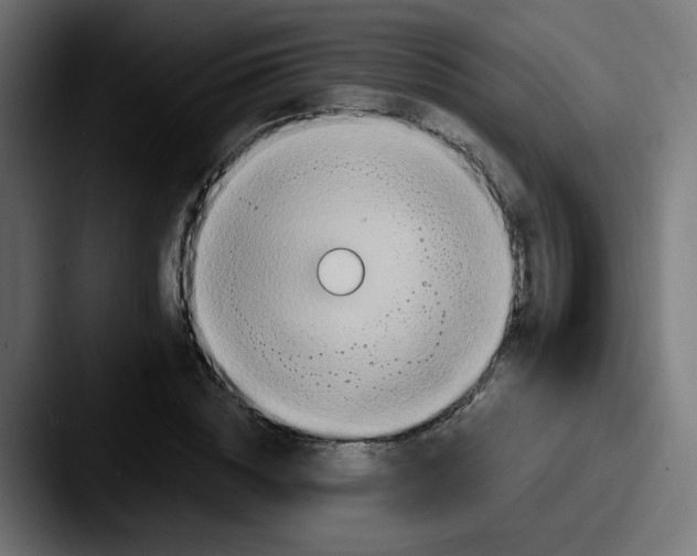 X0000087570828200705181141