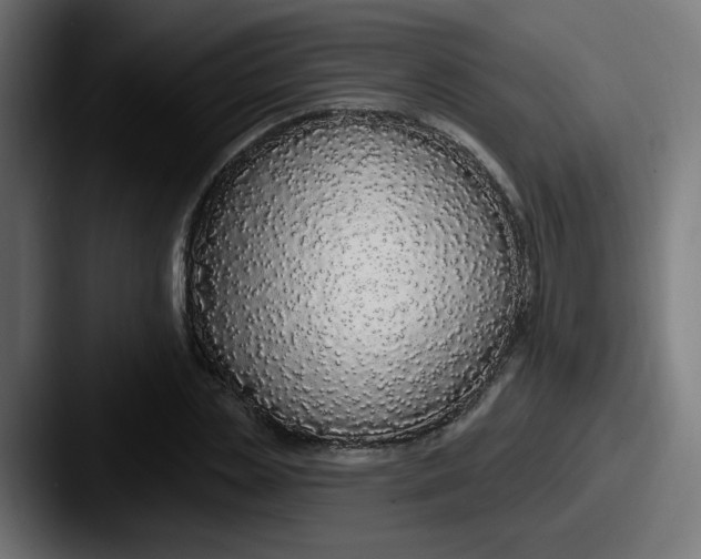 X0000087570829200705181141