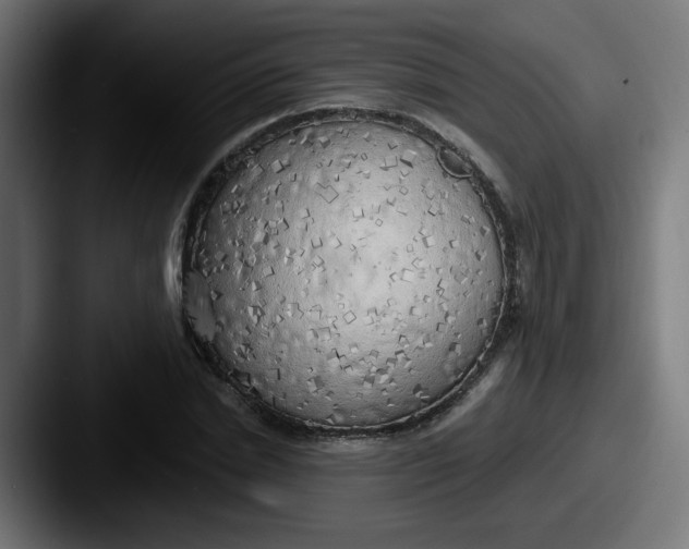 X0000087570830200705181141