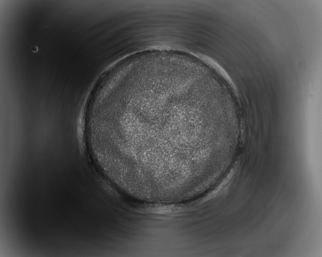 X0000087570831200705181141