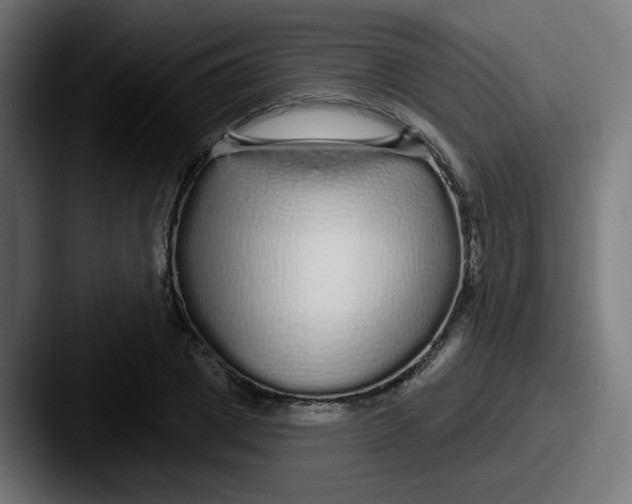 X0000087570833200705181141