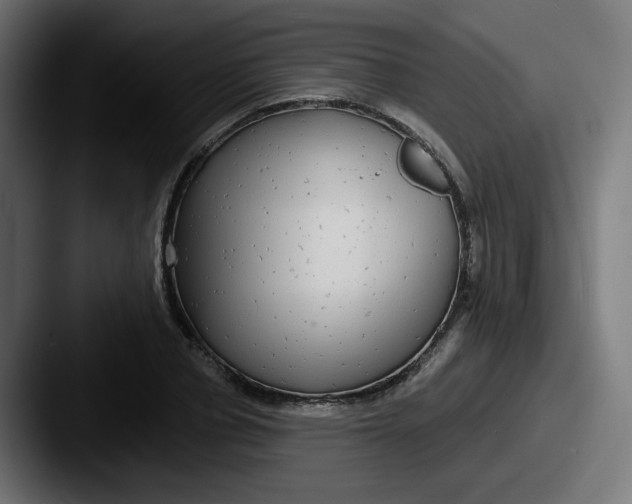 X0000087570834200705181141