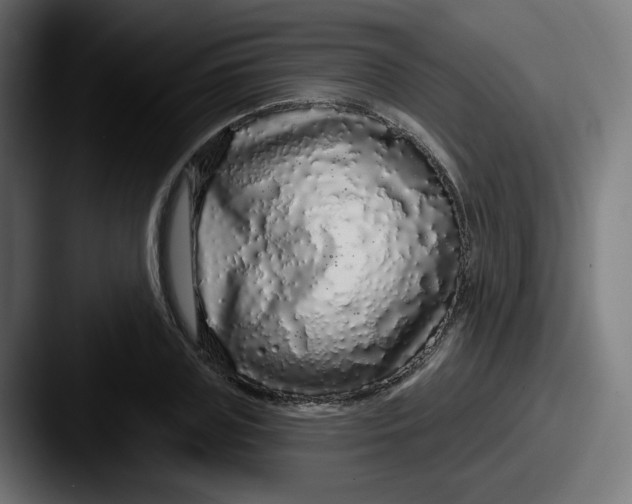 X0000087570835200705181141