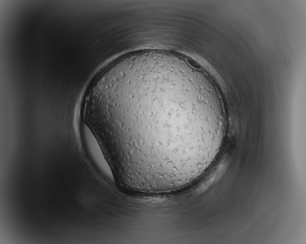 X0000087570838200705181141