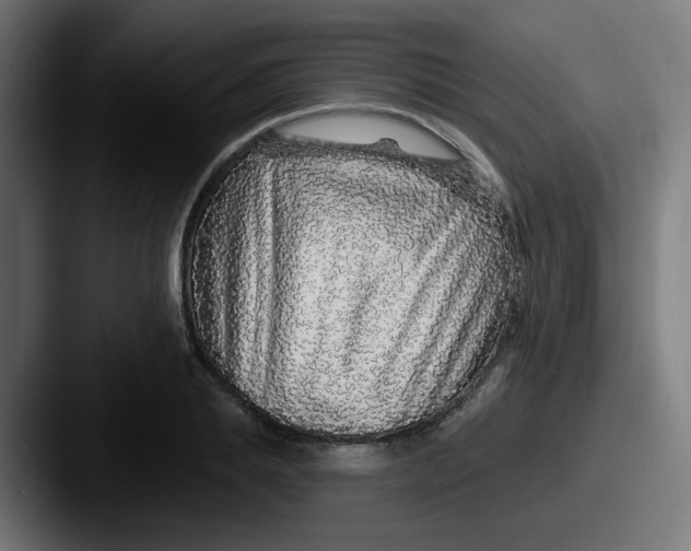 X0000087570839200705181141