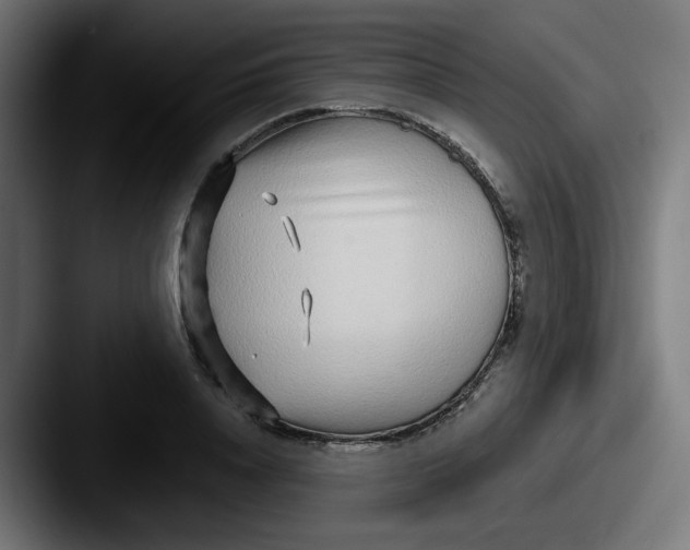 X0000087570840200705181141