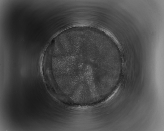 X0000087570842200705181141