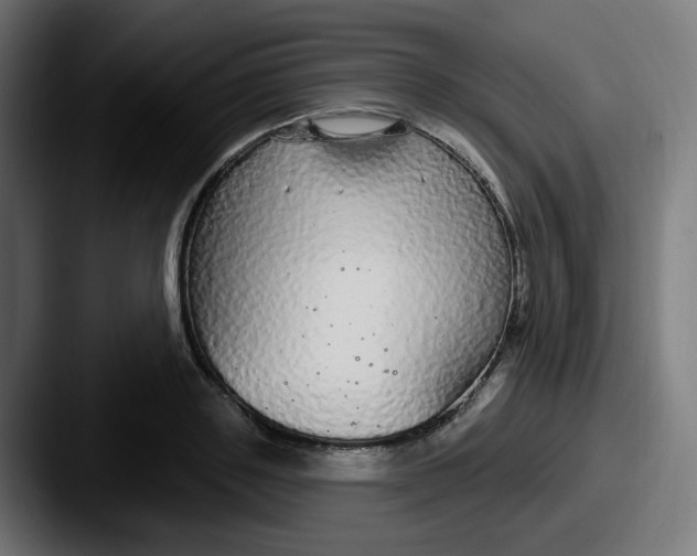 X0000087570843200705181141