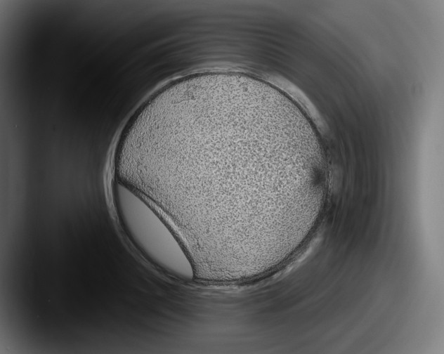 X0000087570844200705181141