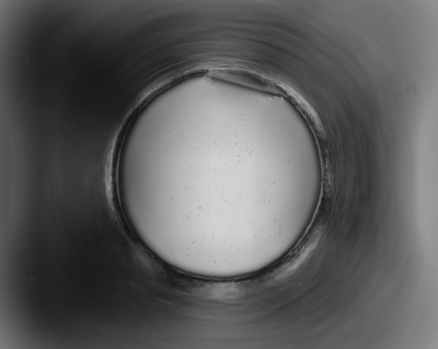 X0000087570845200705181141