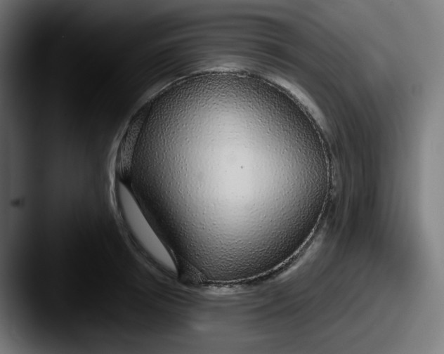 X0000087570850200705181141