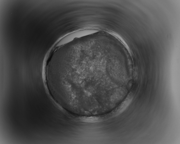 X0000087570851200705181141