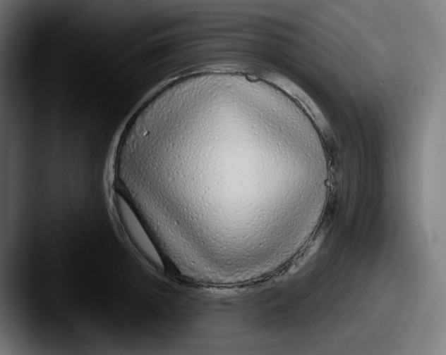 X0000087570852200705181141