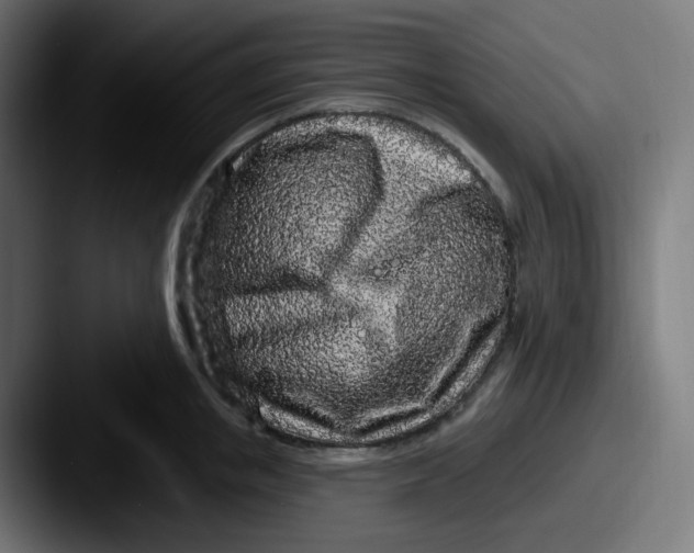 X0000087570853200705181141