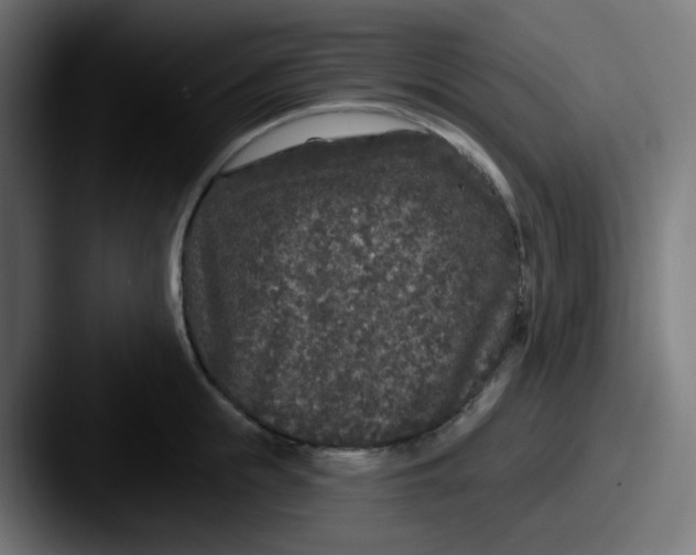 X0000087570855200705181141