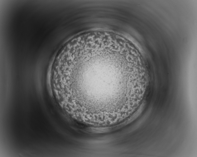 X0000087570856200705181141