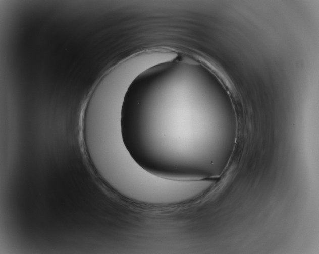 X0000087570858200705181141