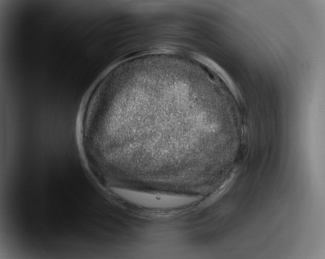 X0000087570859200705181141