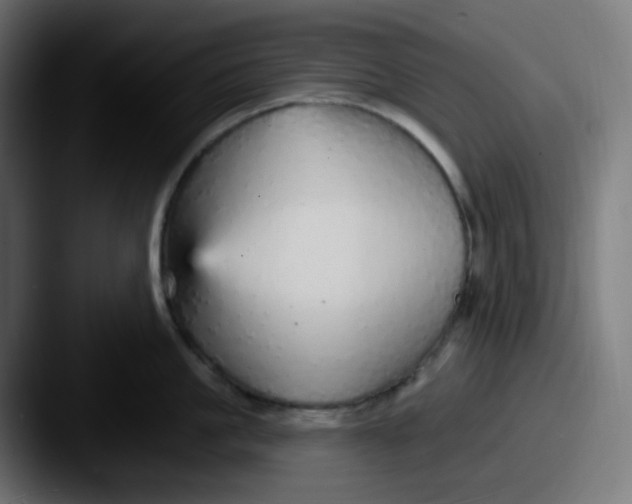 X0000087570861200705181141