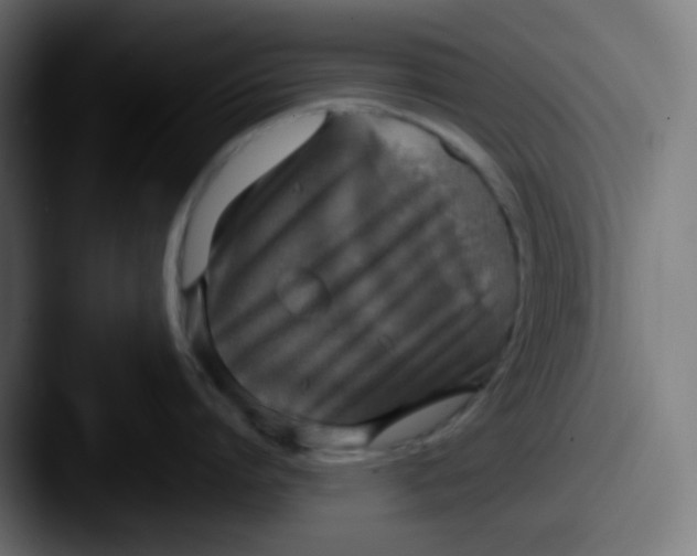 X0000087570864200705181141