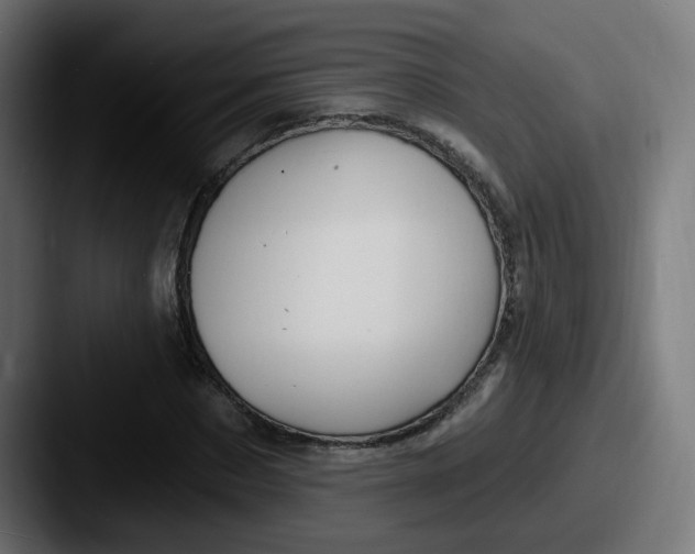 X0000087570873200705181141