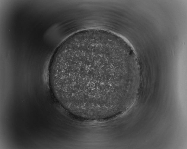 X0000087570879200705181141