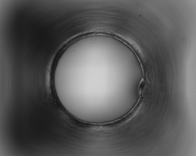 X0000087570880200705181141