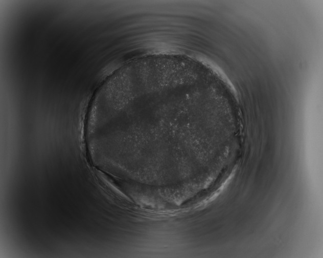 X0000087570881200705181141