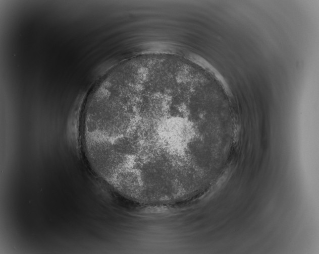 X0000087570882200705181141