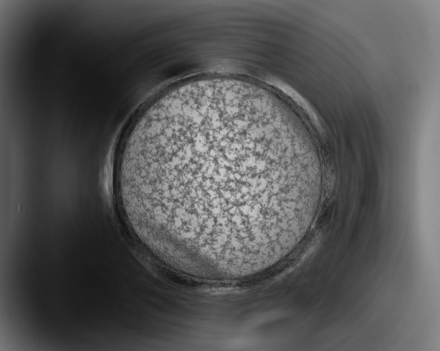 X0000087570886200705181141