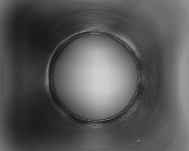 X0000087570888200705181141