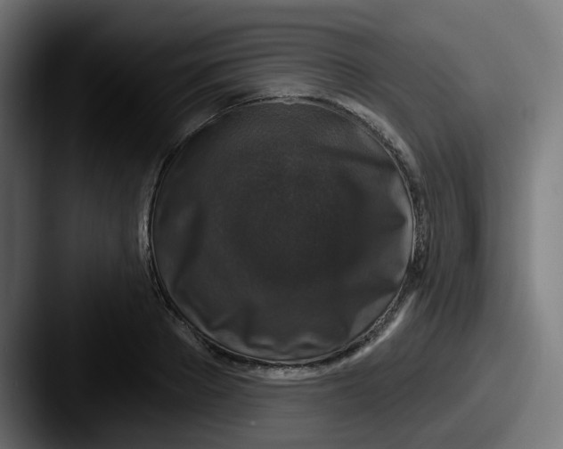 X0000087570889200705181140