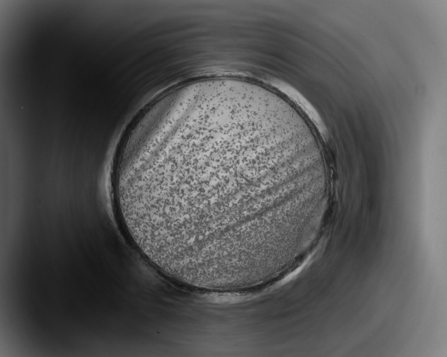 X0000087570893200705181140