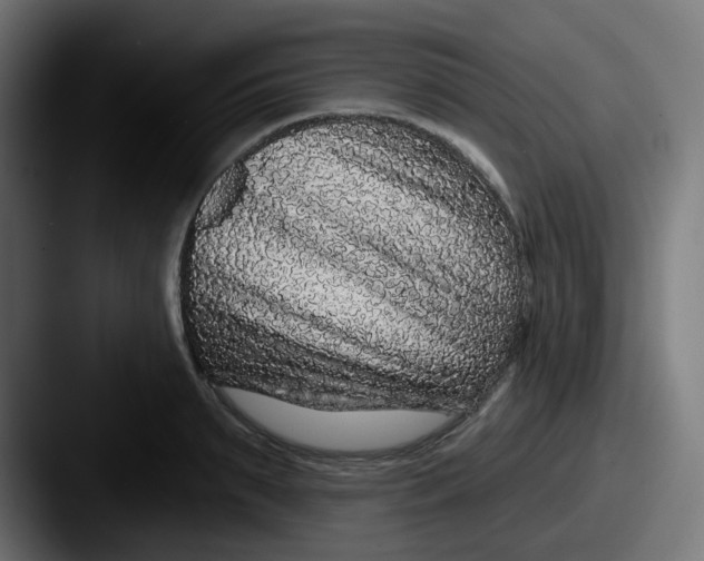 X0000087570895200705181140