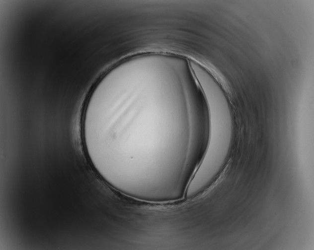 X0000087570896200705181140