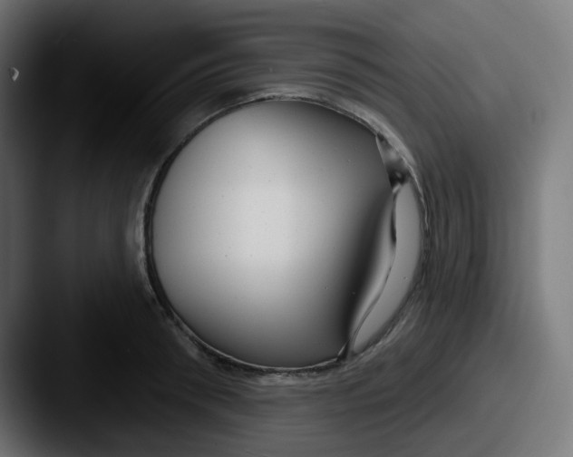 X0000087570898200705181140