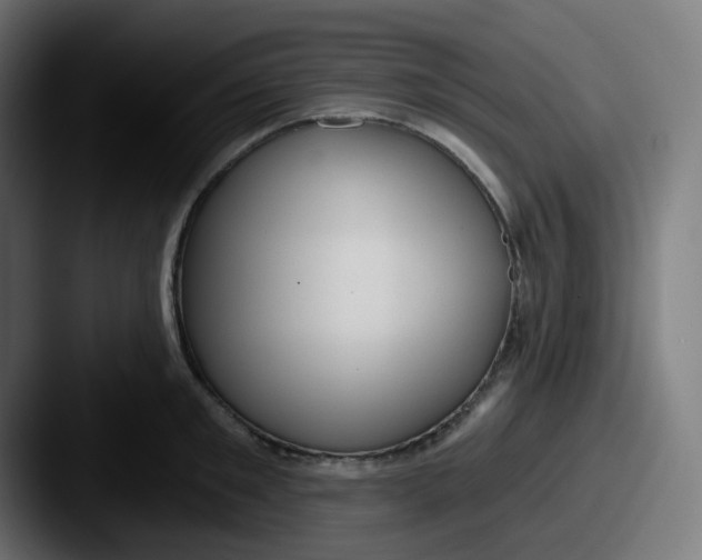 X0000087570901200705181140