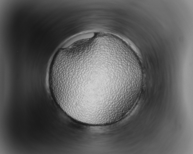 X0000087570904200705181140