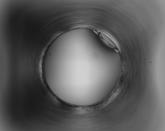 X0000087570906200705181140