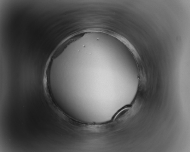 X0000087570908200705181140