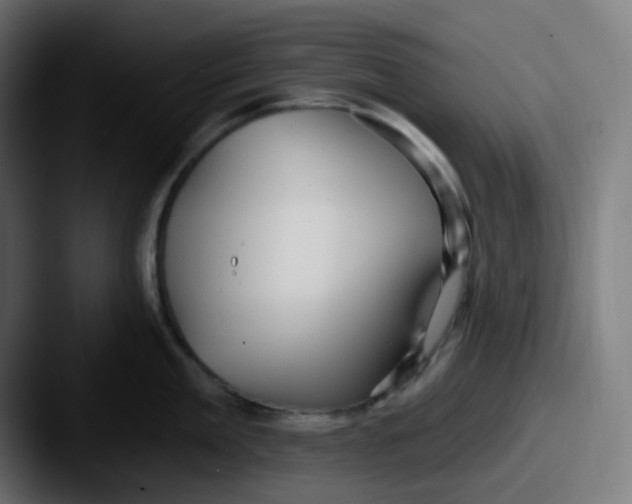 X0000087570909200705181140