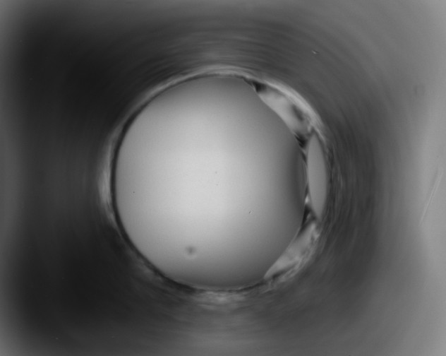 X0000087570910200705181140