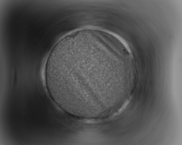 X0000087570911200705181140