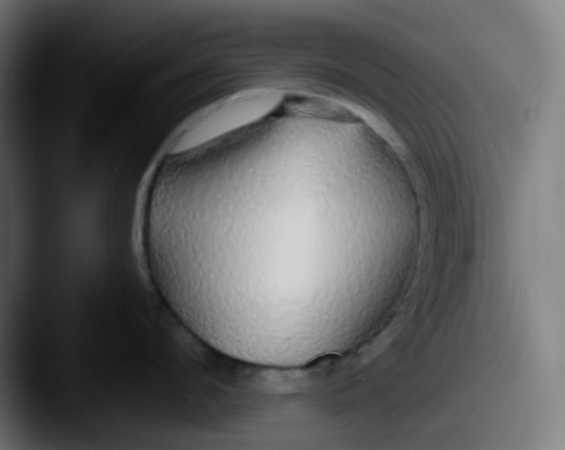 X0000087570912200705181140