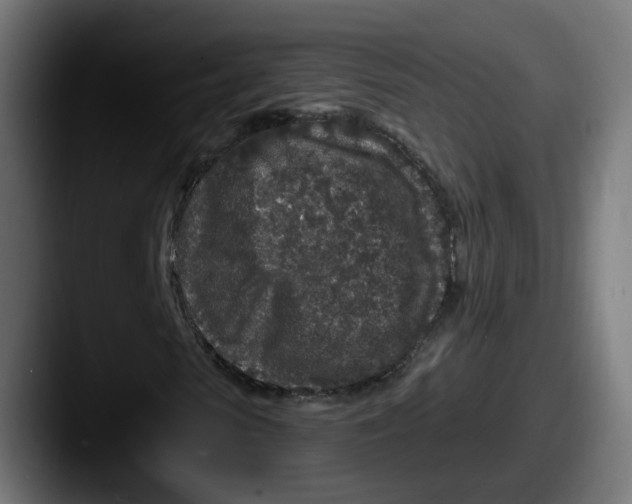 X0000087570913200705181140