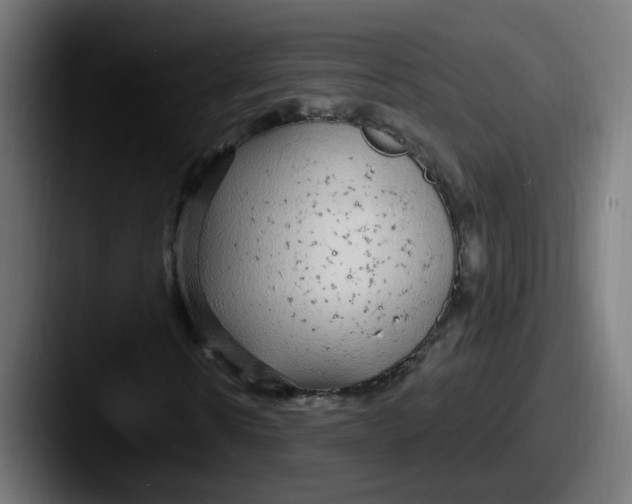 X0000087570914200705181140